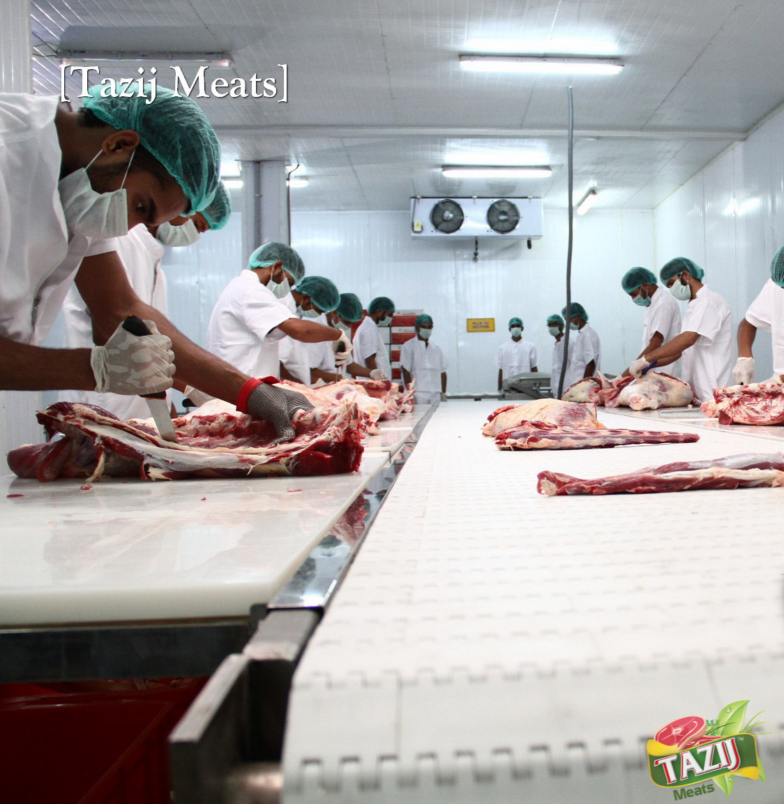 Cold-Chain Deboning, Fabrication & Cutting Line